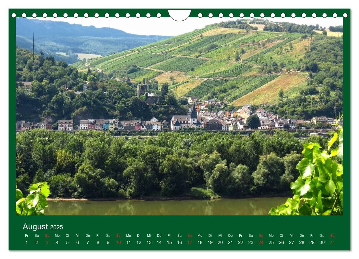 Bild: 9783435792481 | Im Rheingau (Wandkalender 2025 DIN A4 quer), CALVENDO Monatskalender