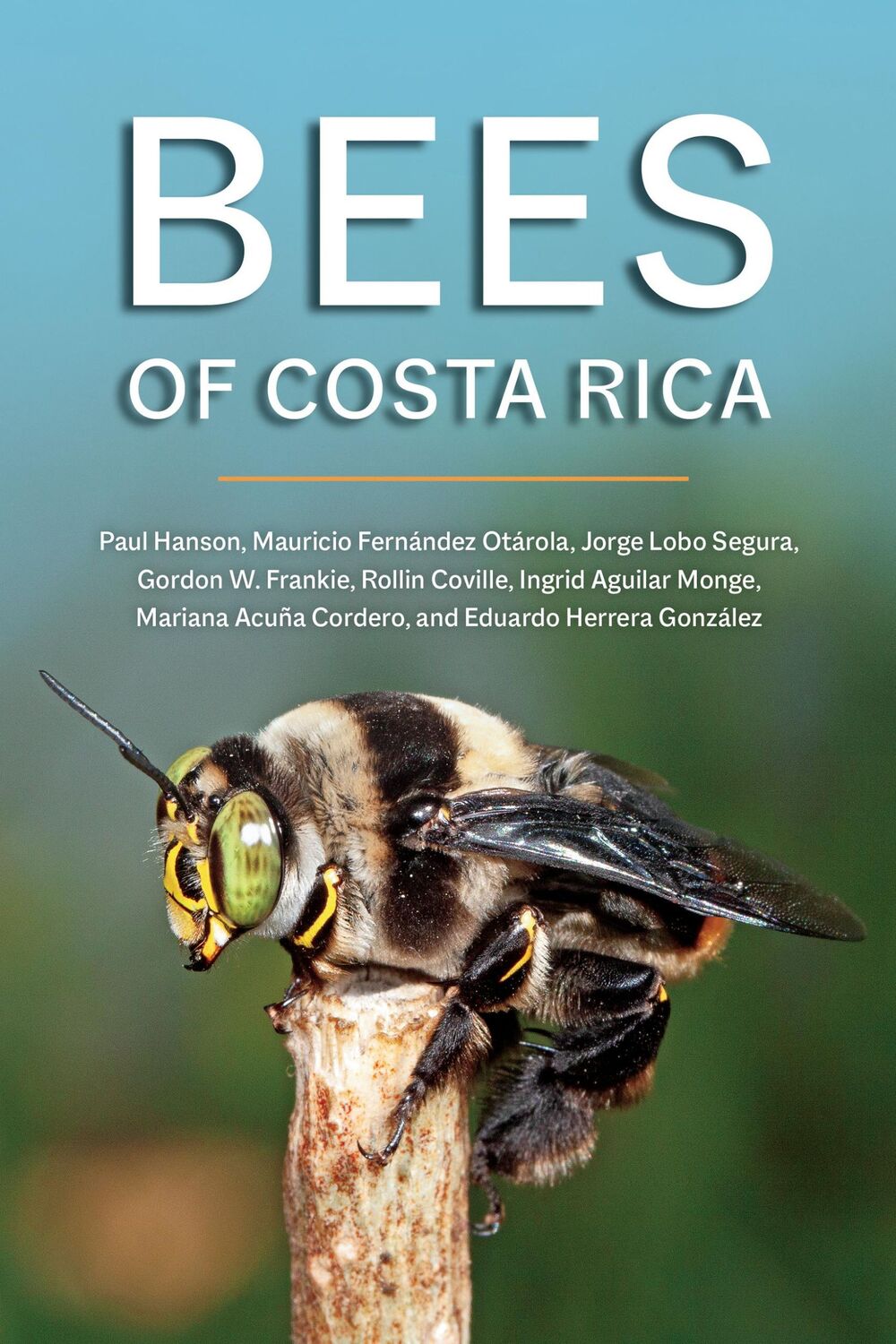 Cover: 9781501769061 | Bees of Costa Rica | Eduardo Herrera Gonzalez (u. a.) | Taschenbuch