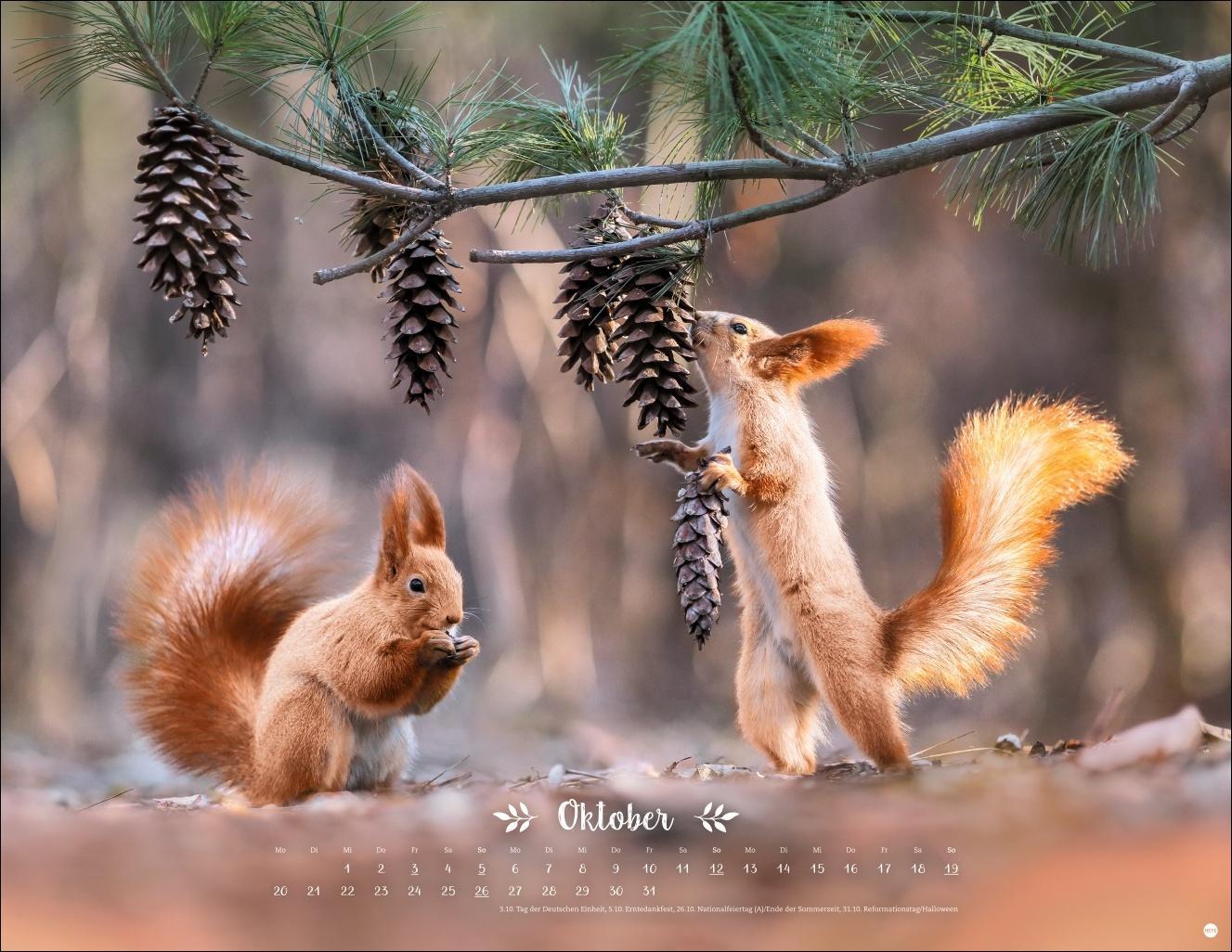 Bild: 9783756405183 | Vadim Trunov: Märchenhaftes Waldleben Posterkalender 2025 | Kalender