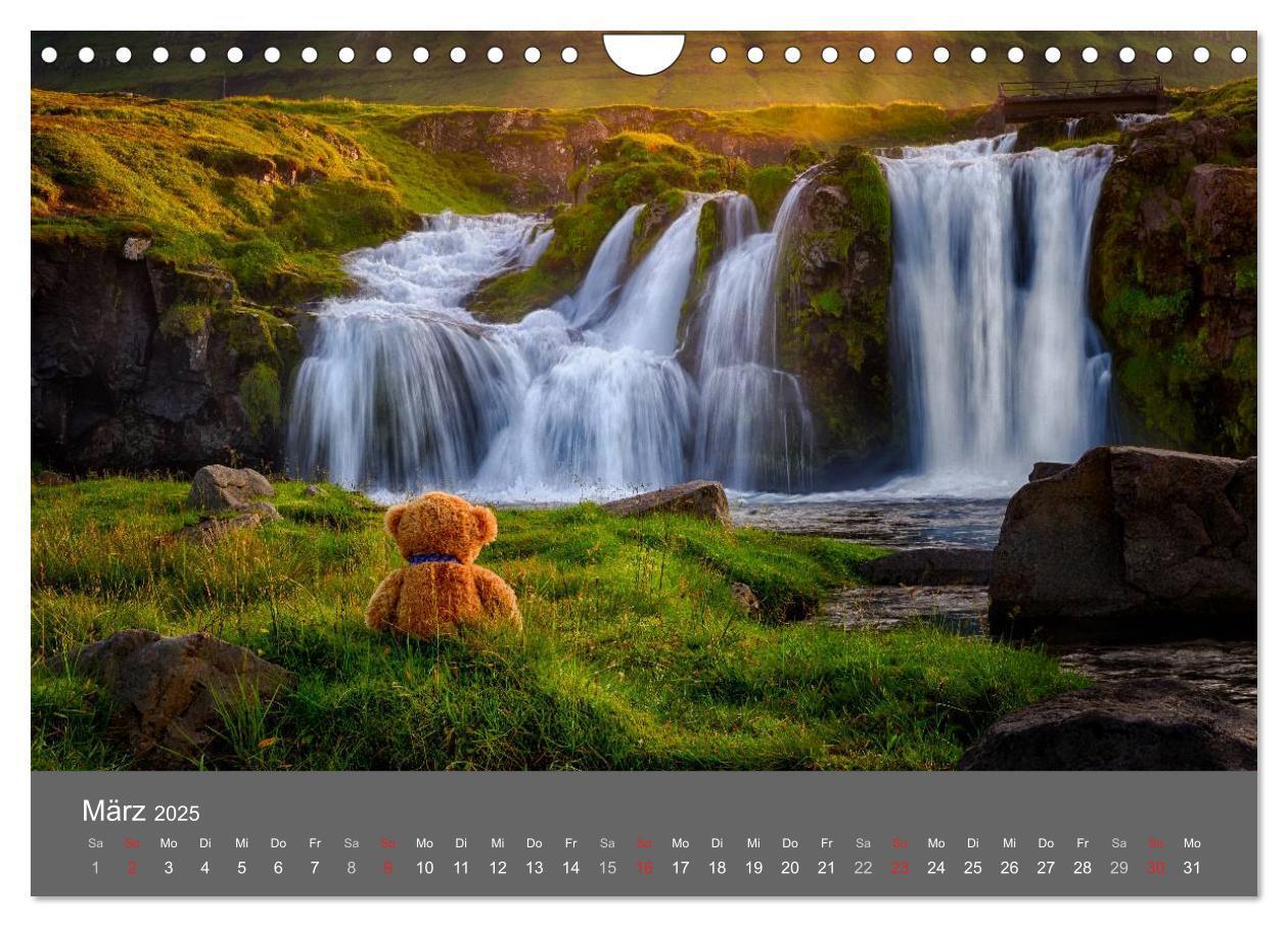 Bild: 9783435503414 | Travelling Teddy 2025 (Wandkalender 2025 DIN A4 quer), CALVENDO...