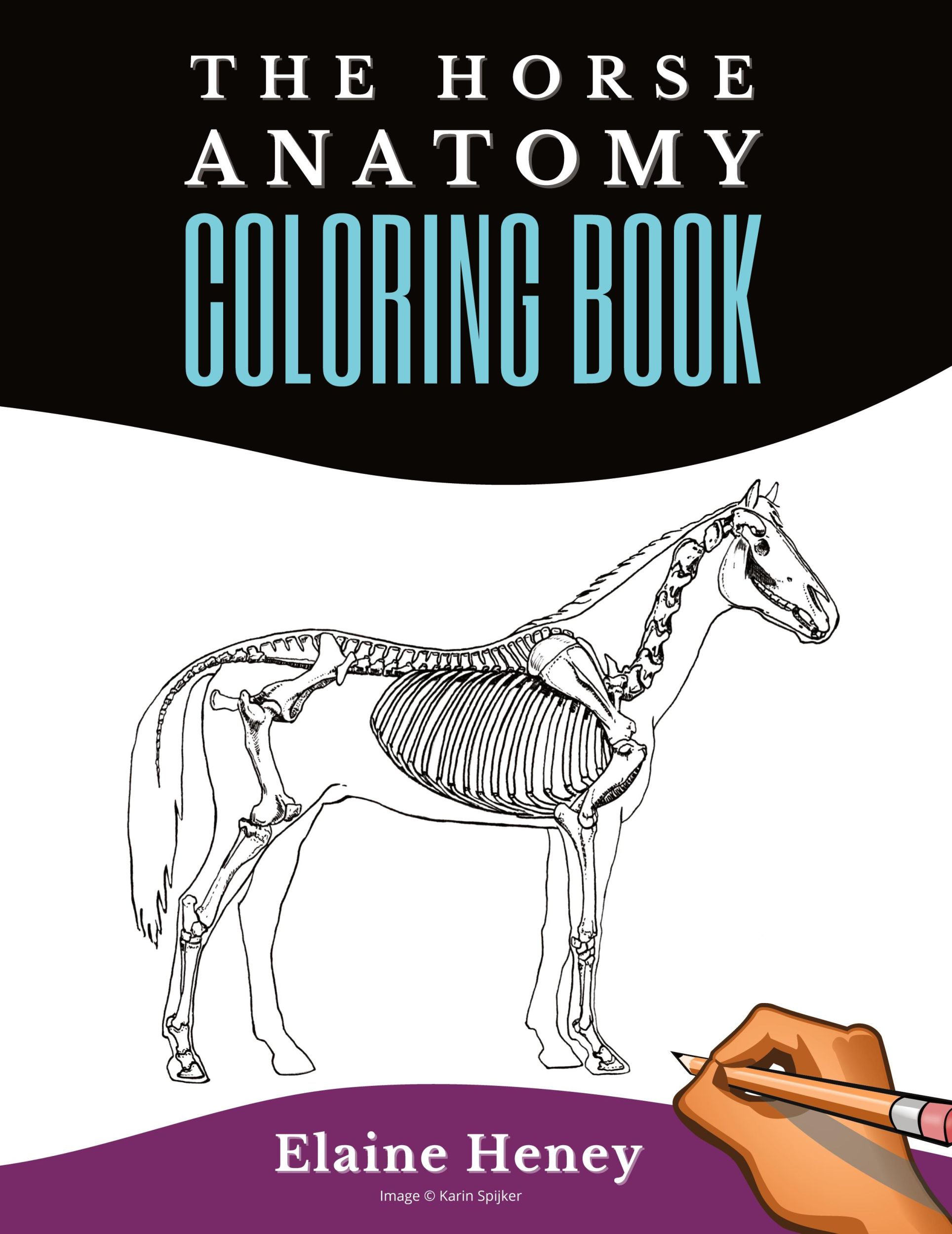 Cover: 9780955265358 | Horse Anatomy Coloring Book For Adults - Self Assessment Equine...