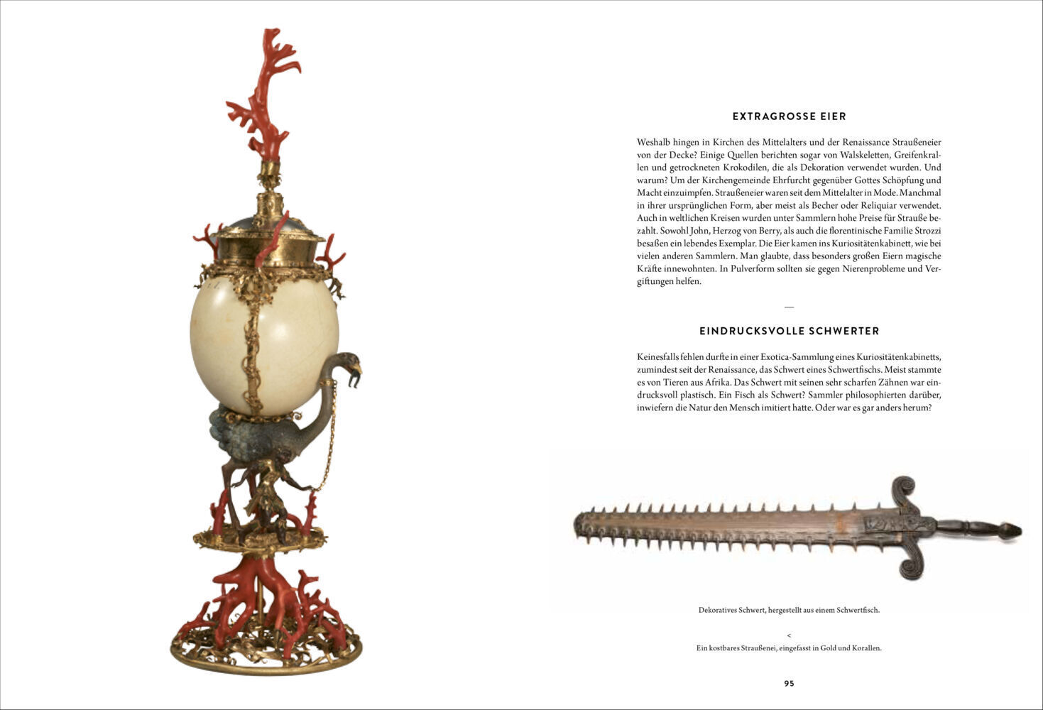 Bild: 9783791384924 | Wunderkammer | Eine Reise zu exotischen Kuriositäten-Sammlungen | Buch