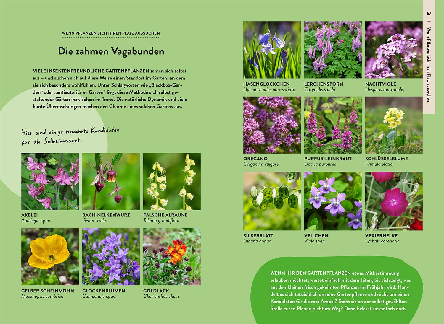 Bild: 9783440180518 | Garden Guide Wildkrautampel | Jutta Over | Taschenbuch | 144 S. | 2025