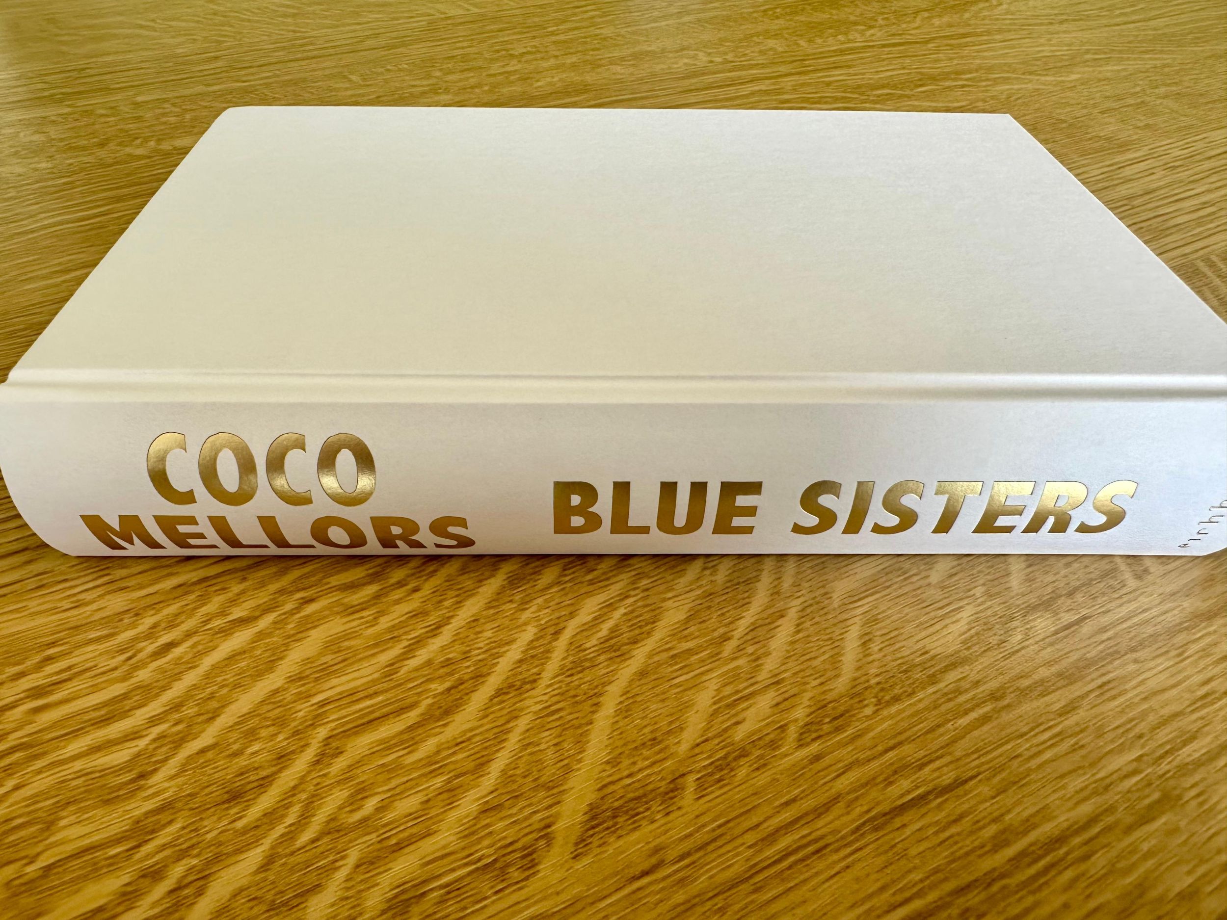 Bild: 9783847901860 | Blue Sisters | Coco Mellors | Buch | 448 S. | Deutsch | 2024