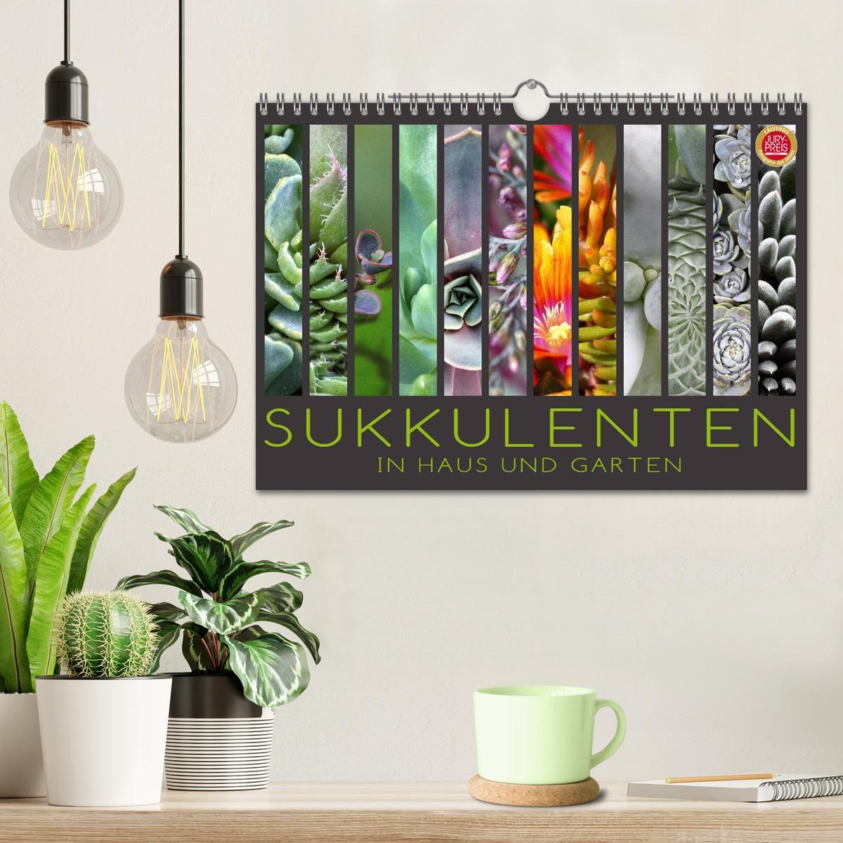 Bild: 9783435590865 | Sukkulenten in Haus und Garten (Wandkalender 2025 DIN A4 quer),...