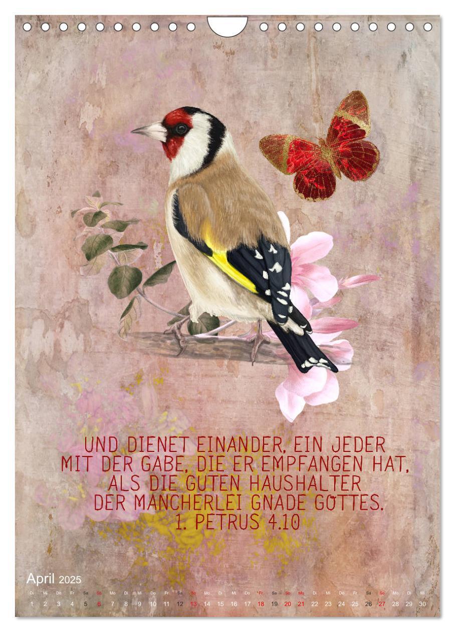 Bild: 9783435962655 | Bibelworte für Vogelfreunde (Wandkalender 2025 DIN A4 hoch),...