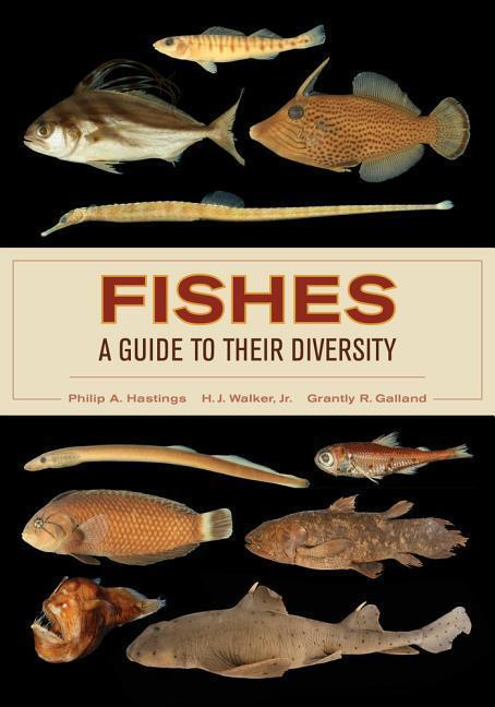 Cover: 9780520283534 | Fishes: A Guide to Their Diversity | Grantly R. Galland (u. a.) | Buch