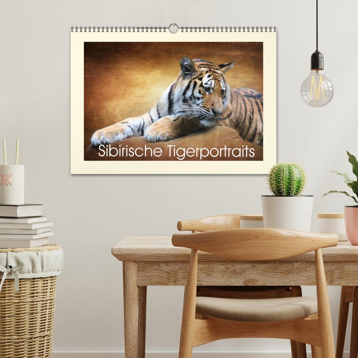 Bild: 9783435449033 | Sibirische Tigerportraits (Wandkalender 2025 DIN A3 quer), CALVENDO...