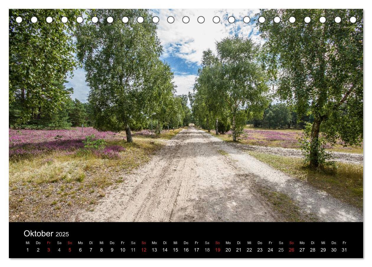 Bild: 9783435774555 | Lüneburger Heide (Tischkalender 2025 DIN A5 quer), CALVENDO...