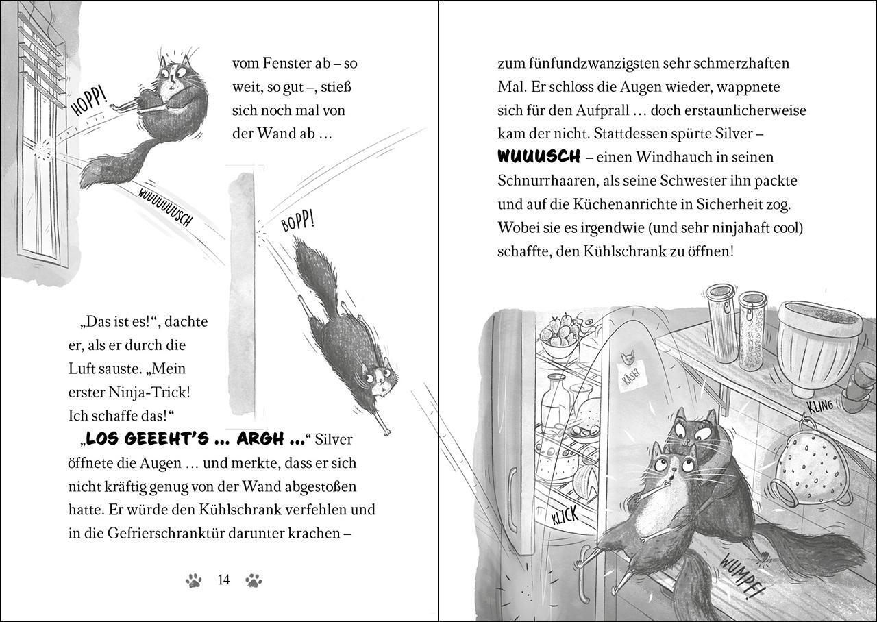 Bild: 9783743214323 | Ninja Cat (Band 2) - Meisterdieb auf der Flucht! | Dermot O'Leary