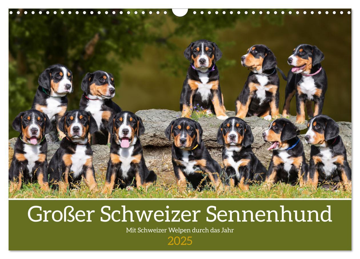 Cover: 9783383952449 | Großer Schweizer Sennenhund - Mit Schweizer Welpen durch das Jahr...