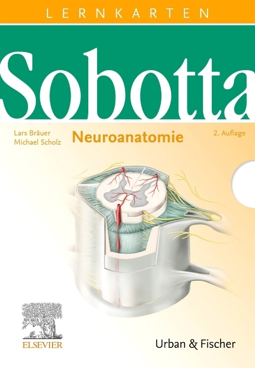 Cover: 9783437429125 | Neuroanatomie, Lernkarten | Johannes Sobotta | Box | X | Deutsch