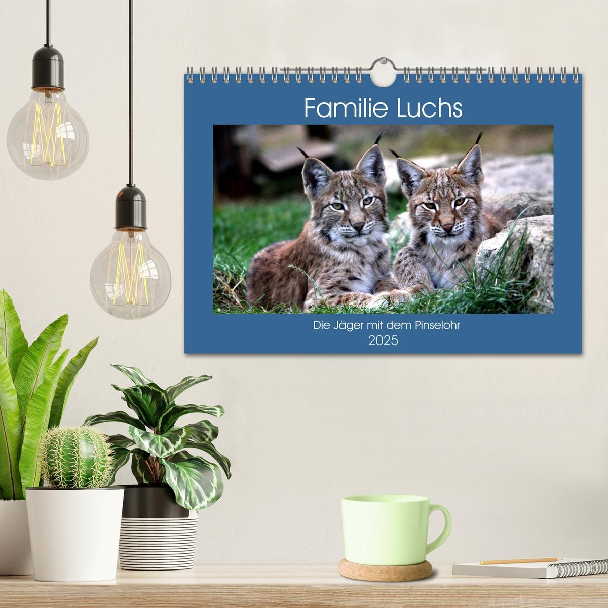 Bild: 9783435420773 | Familie Luchs - Die Jäger mit dem Pinselohr (Wandkalender 2025 DIN...