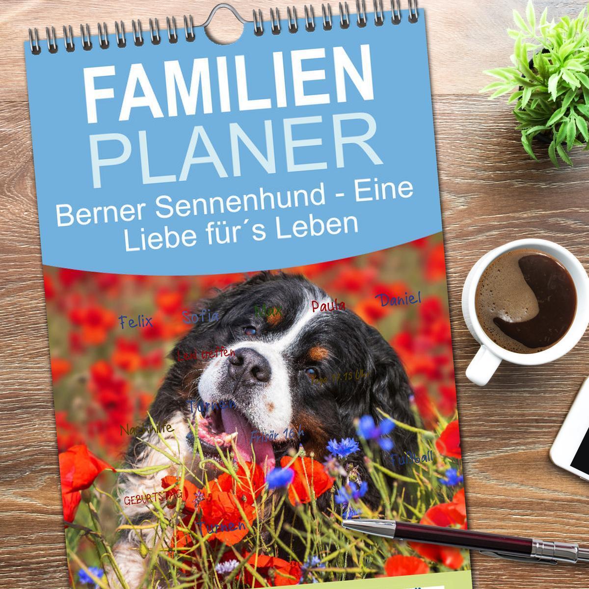 Bild: 9783457097687 | Familienplaner 2025 - Berner Sennenhund - Eine Liebe für´s Leben...