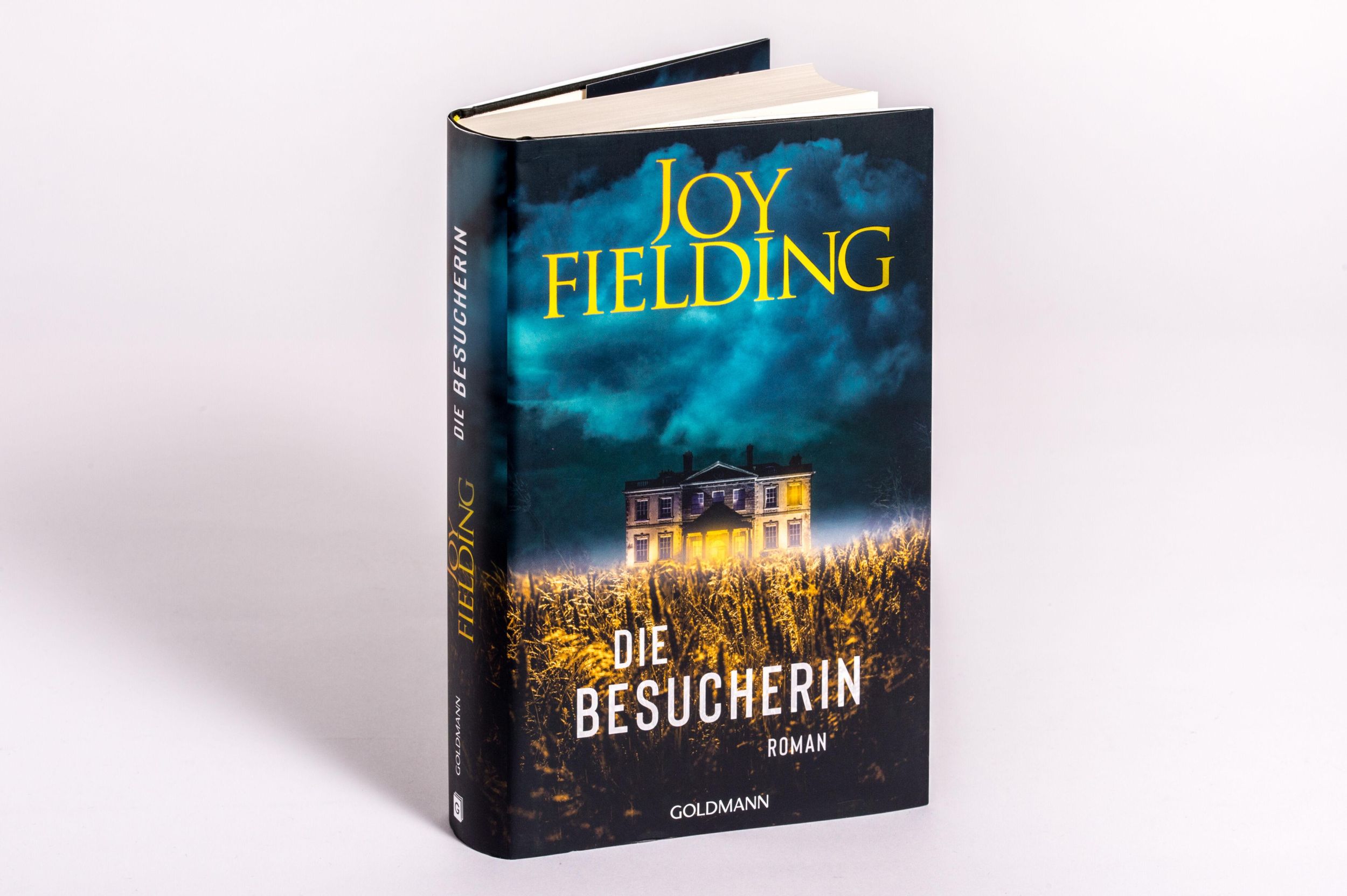 Bild: 9783442317875 | Die Besucherin | Roman | Joy Fielding | Buch | 448 S. | Deutsch | 2024