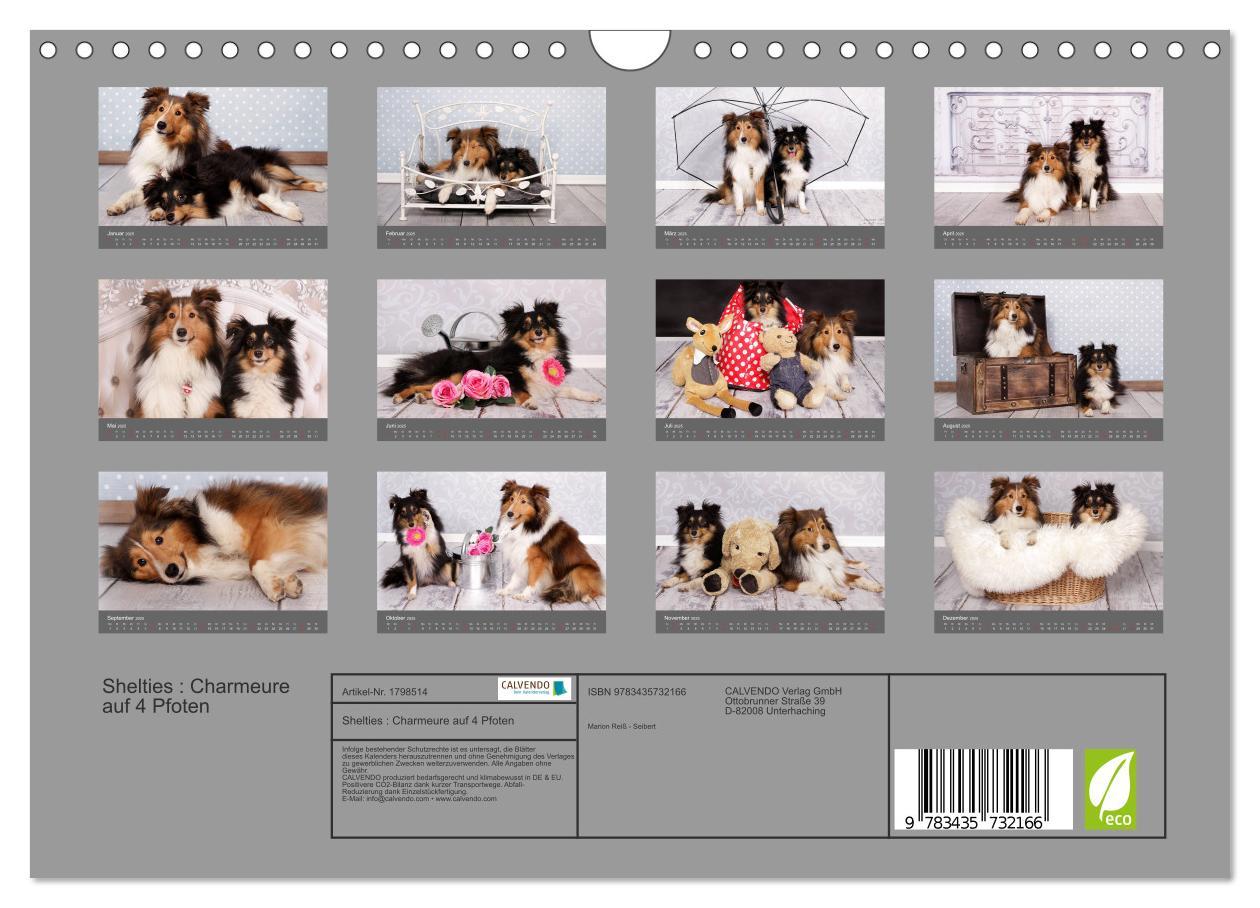 Bild: 9783435732166 | Shelties : Charmeure auf 4 Pfoten (Wandkalender 2025 DIN A4 quer),...