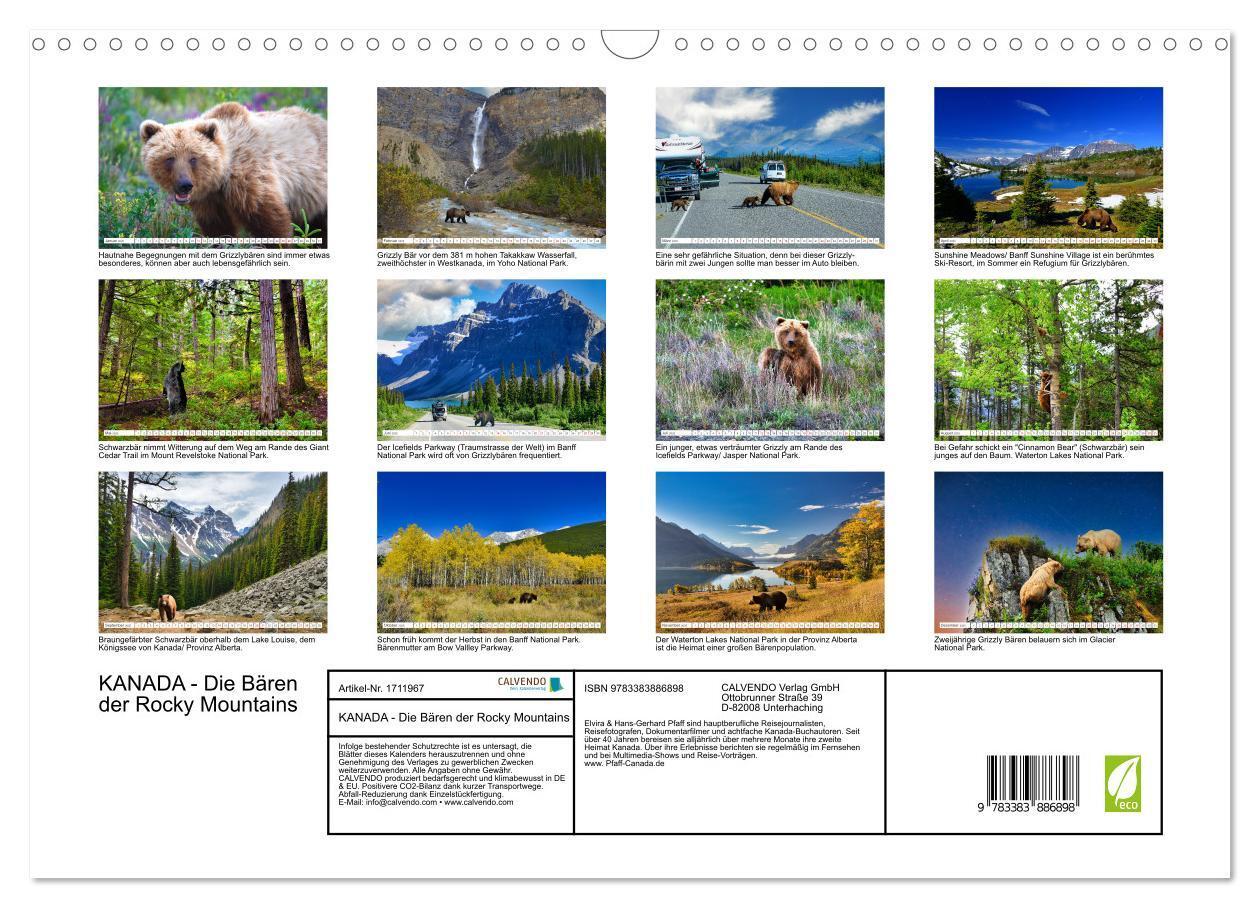 Bild: 9783383886898 | KANADA - Die Bären der Rocky Mountains (Wandkalender 2025 DIN A3...