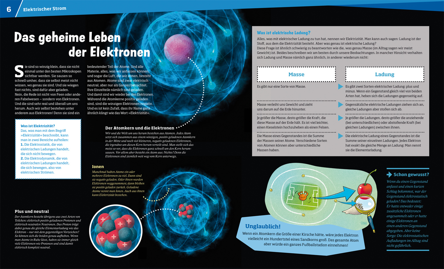 Bild: 9783788620516 | WAS IST WAS Band 24 Elektrizität | Megavolt und Supraleiter | Buch