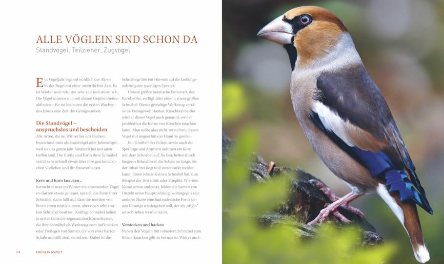 Bild: 9783954163410 | Ein Garten voller Vögel | Heinz Schmidbauer (u. a.) | Buch | 224 S.