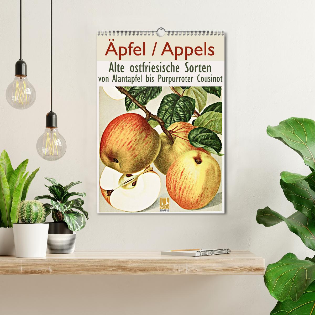 Bild: 9783435976232 | Äpfel/Appels. Alte ostfriesische Sorten (Wandkalender 2025 DIN A3...