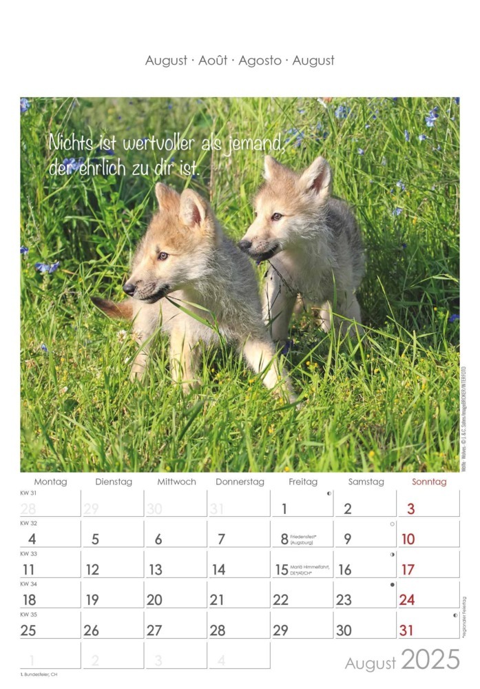 Bild: 4251732341039 | Alpha Edition - Kleine Freunde 2025 Bildkalender, 23,7x34cm,...