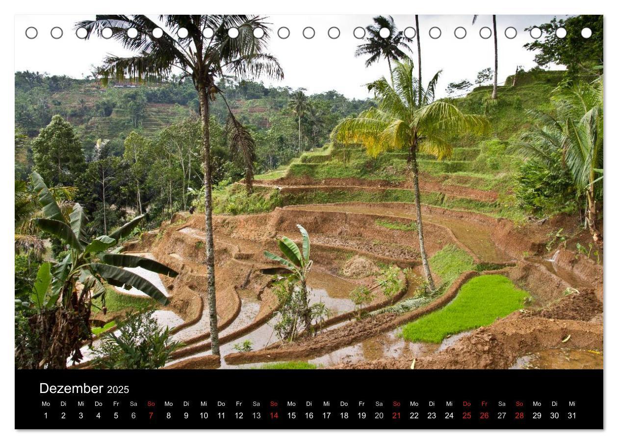 Bild: 9783435774371 | Indonesien (Tischkalender 2025 DIN A5 quer), CALVENDO Monatskalender