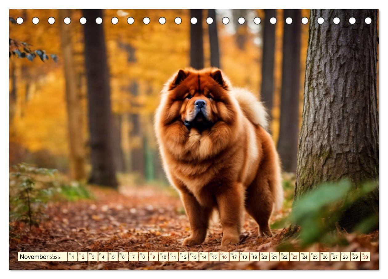 Bild: 9783457036945 | Chow Chow - der Löwenkopfhund (Tischkalender 2025 DIN A5 quer),...