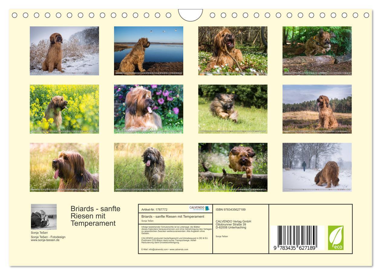 Bild: 9783435627189 | Briards - sanfte Riesen mit Temperament (Wandkalender 2025 DIN A4...