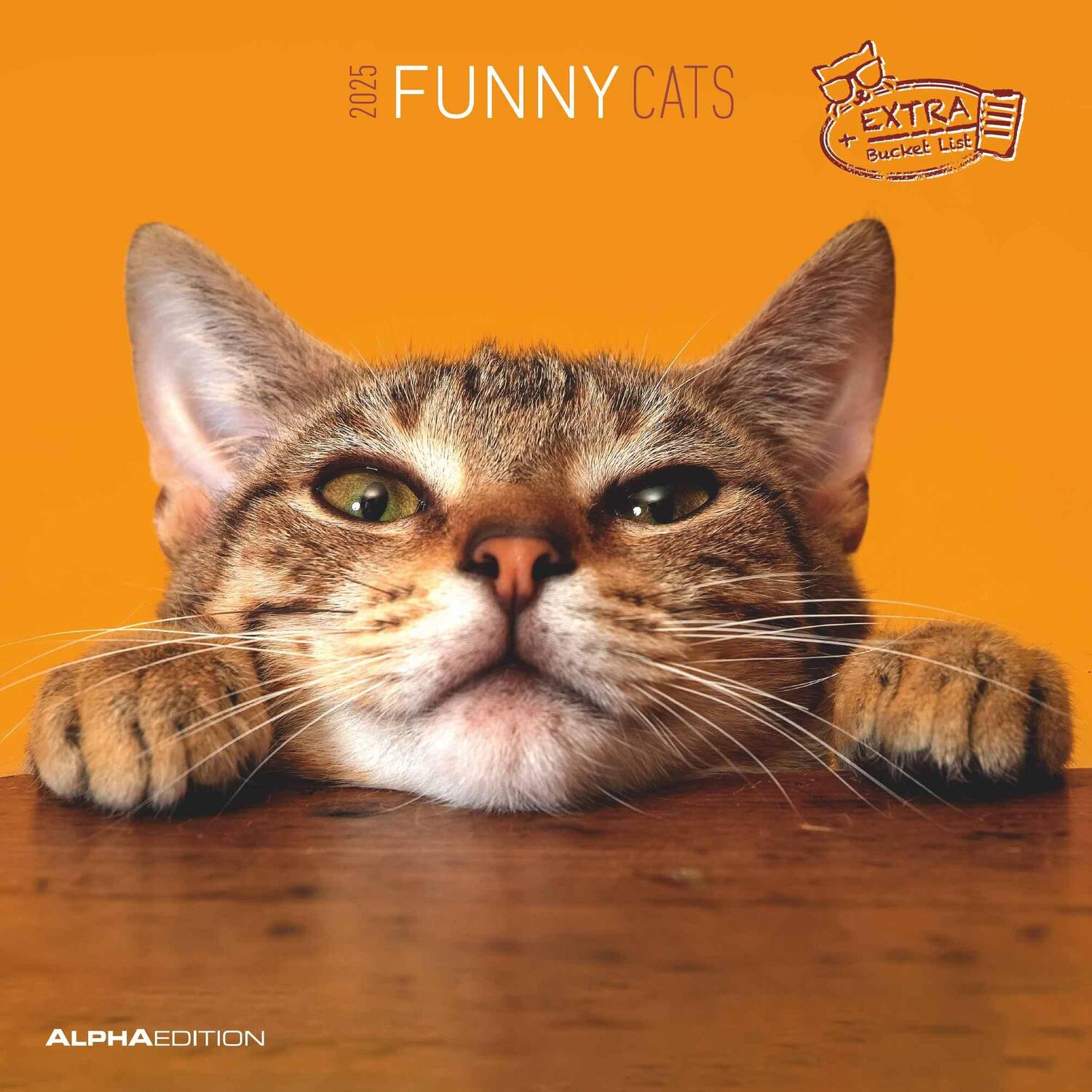 Cover: 4251732340827 | Funny Cats 2025 - Broschürenkalender 30x30 cm (30x60 geöffnet) -...