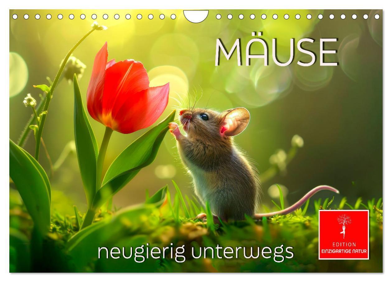 Cover: 9783383795749 | Mäuse - neugierig unterwegs (Wandkalender 2025 DIN A4 quer),...