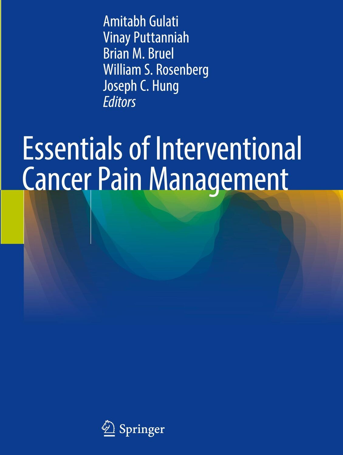 Cover: 9783319996820 | Essentials of Interventional Cancer Pain Management | Gulati (u. a.)