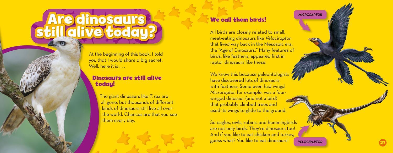 Bild: 9781426327285 | You Can Be a Paleontologist!: Discovering Dinosaurs with Dr. Scott