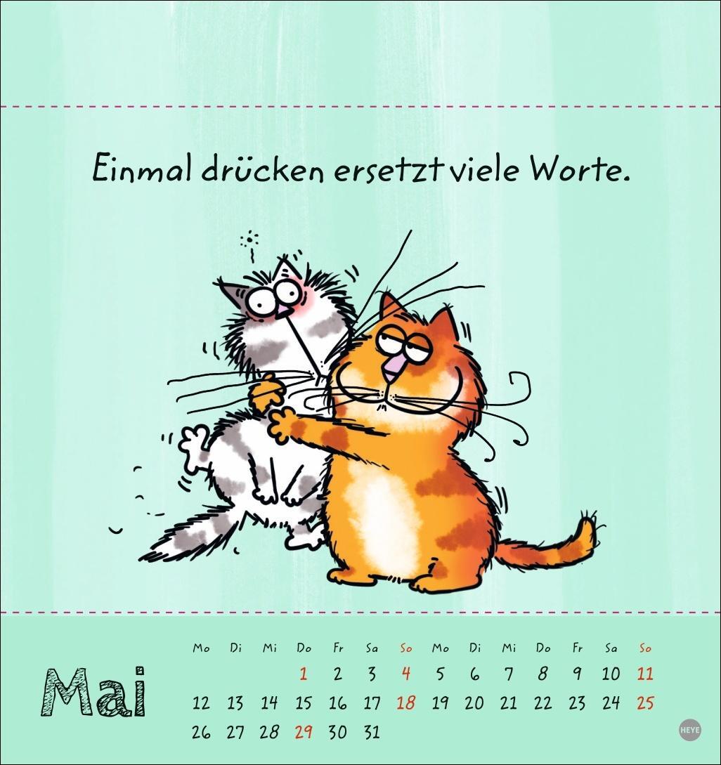 Bild: 9783756406951 | Catzz Postkartenkalender 2025 | Kalender | Postkartenkalender Heye