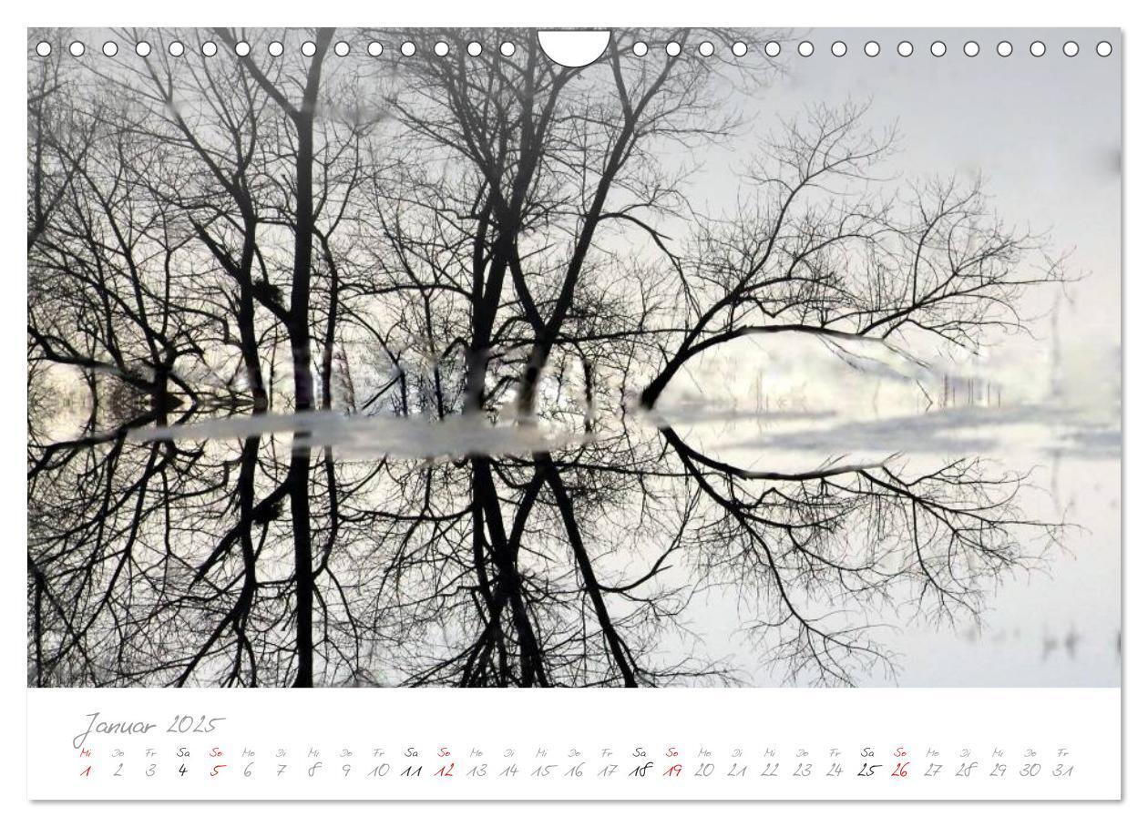 Bild: 9783435638345 | Teufelsmoor Impressionen (Wandkalender 2025 DIN A4 quer), CALVENDO...