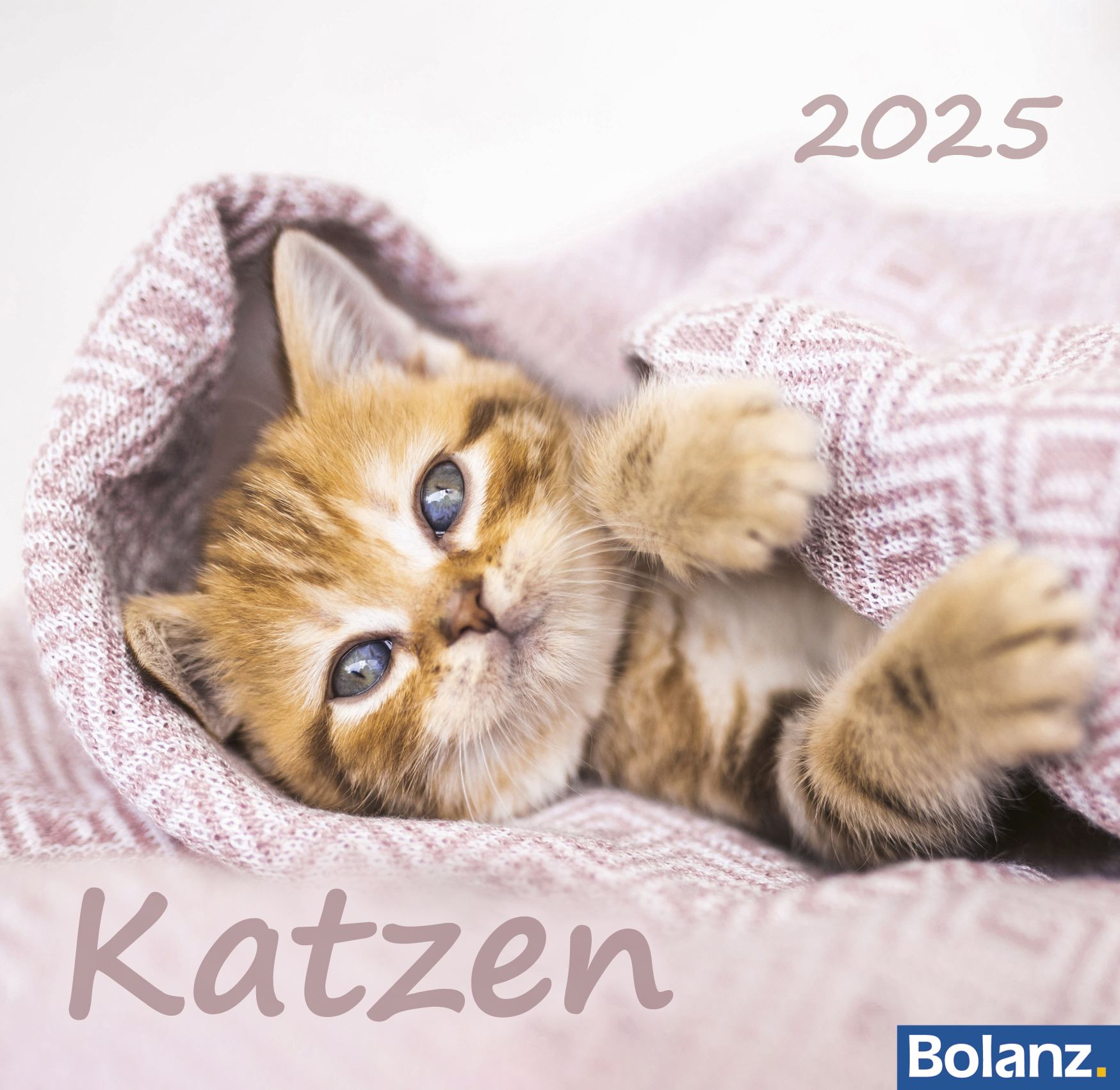 Cover: 9783866038868 | Katzen 2025 | Kalender | 13 S. | Deutsch | 2025 | EAN 9783866038868