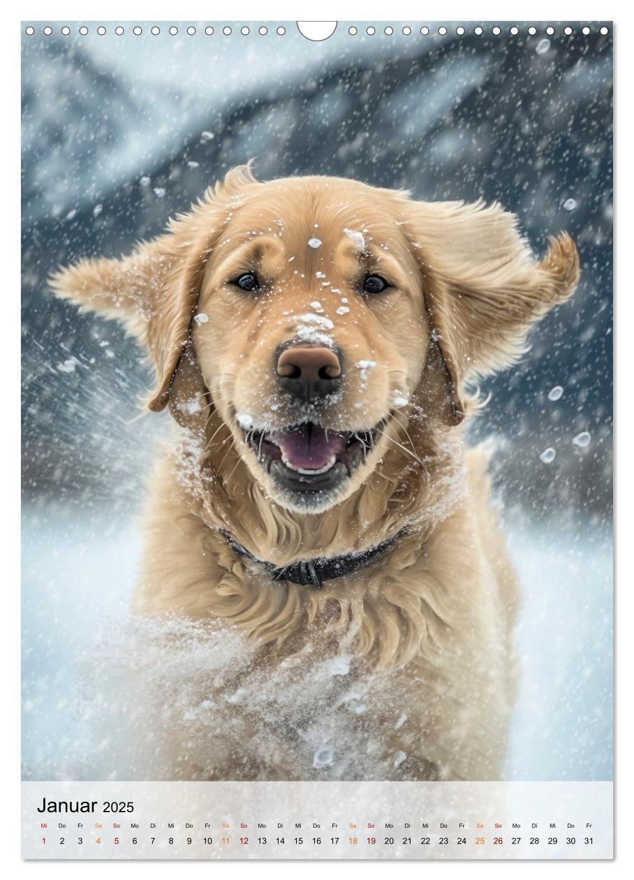 Bild: 9783435880799 | Golden Retriever - ein Hund für die Familie (Wandkalender 2025 DIN...