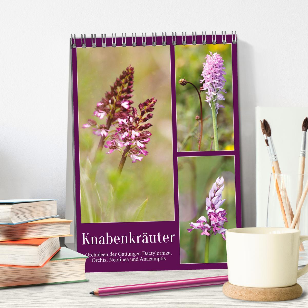 Bild: 9783435920594 | Knabenkräuter (Tischkalender 2025 DIN A5 hoch), CALVENDO...