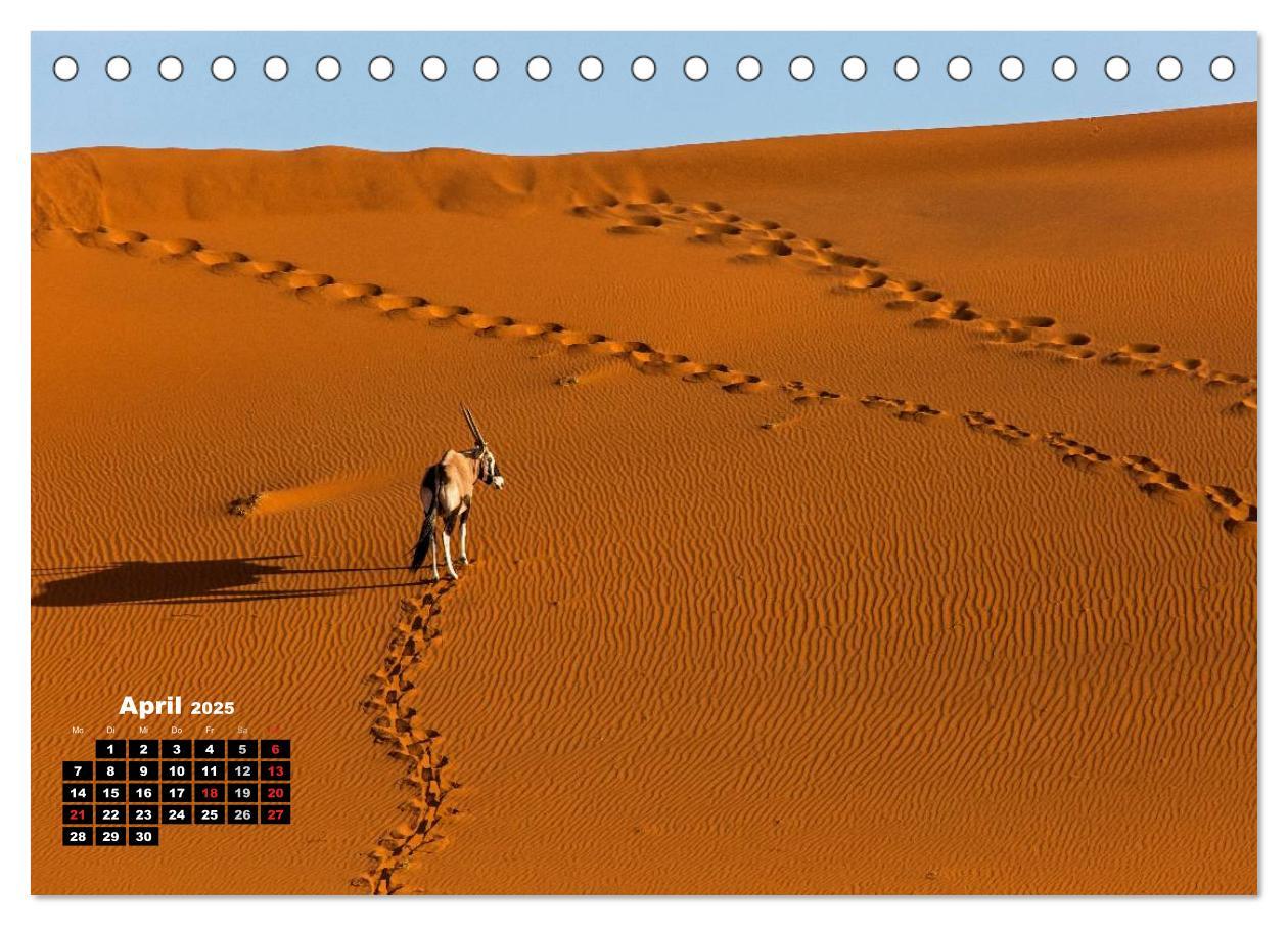 Bild: 9783435587810 | Blickpunkte in Namibia (Tischkalender 2025 DIN A5 quer), CALVENDO...