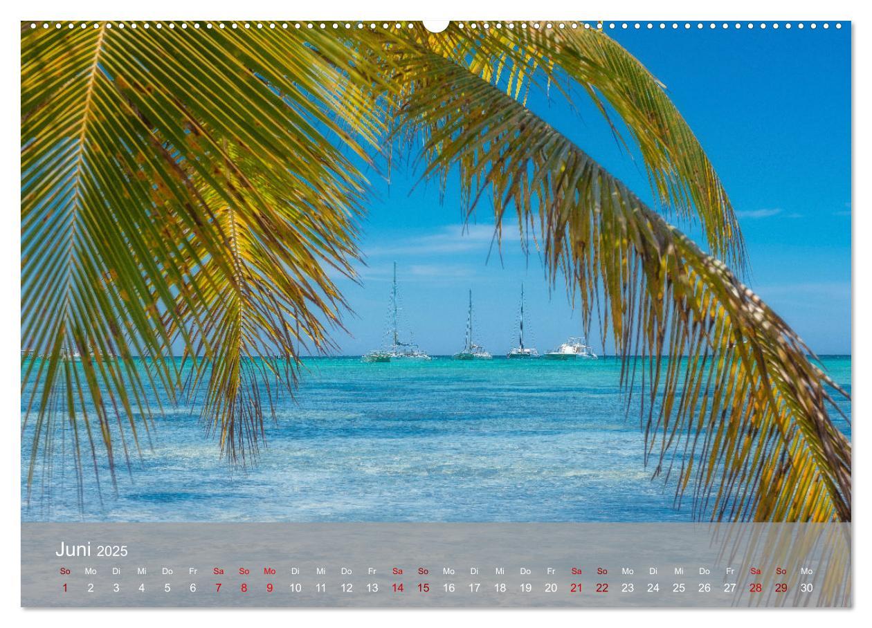 Bild: 9783435022137 | Karibik Traum Isla Saona (Wandkalender 2025 DIN A2 quer), CALVENDO...