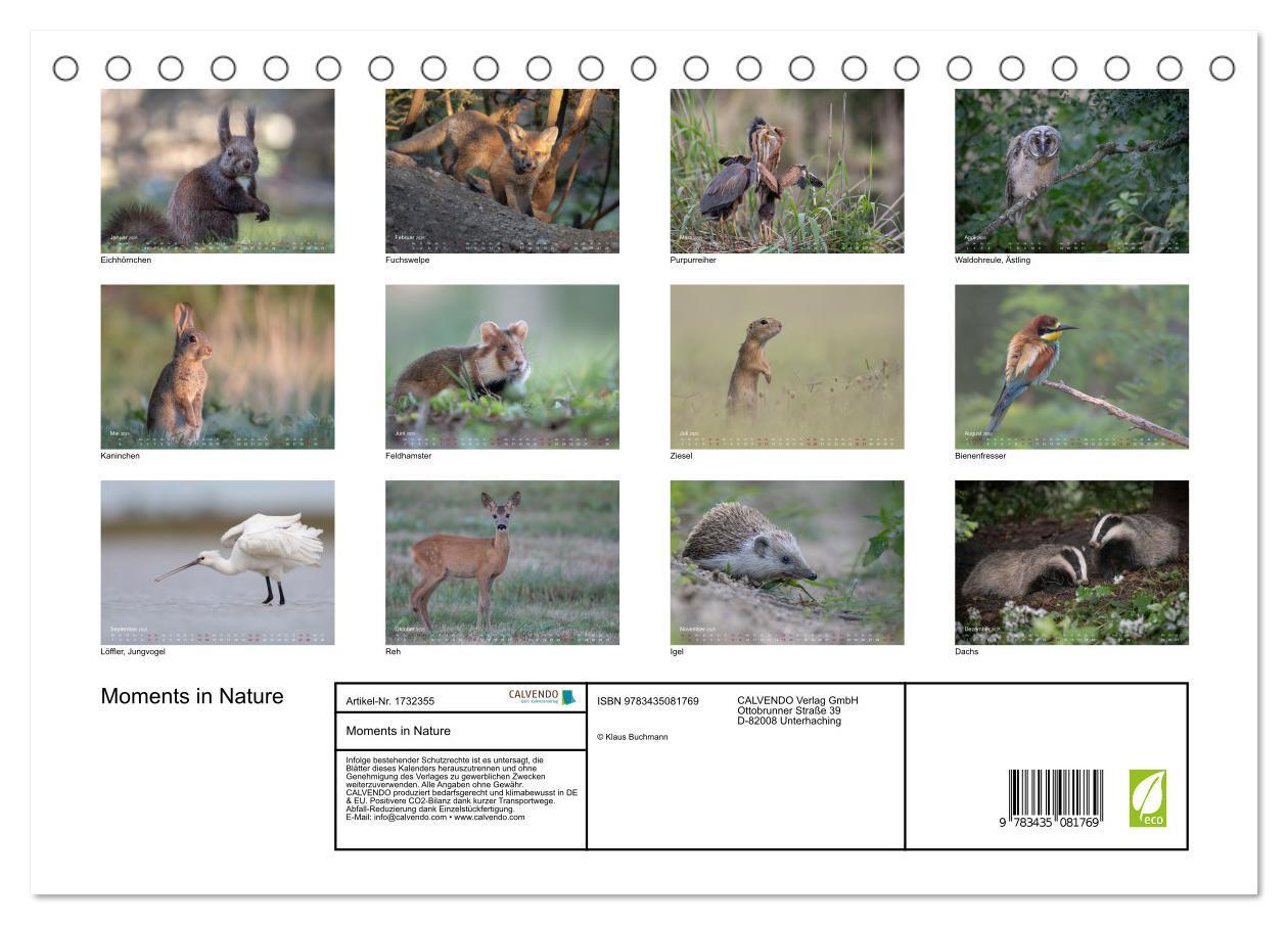 Bild: 9783435081769 | Moments in Nature (Tischkalender 2025 DIN A5 quer), CALVENDO...