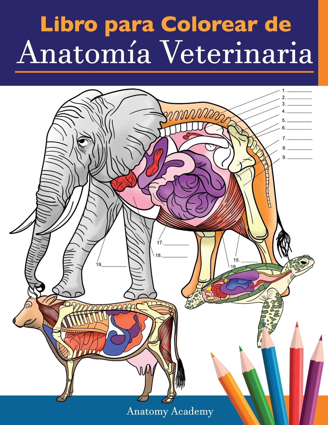 Cover: 9781838188641 | Libro para colorear de anatomía veterinaria | Anatomy Academy | Buch