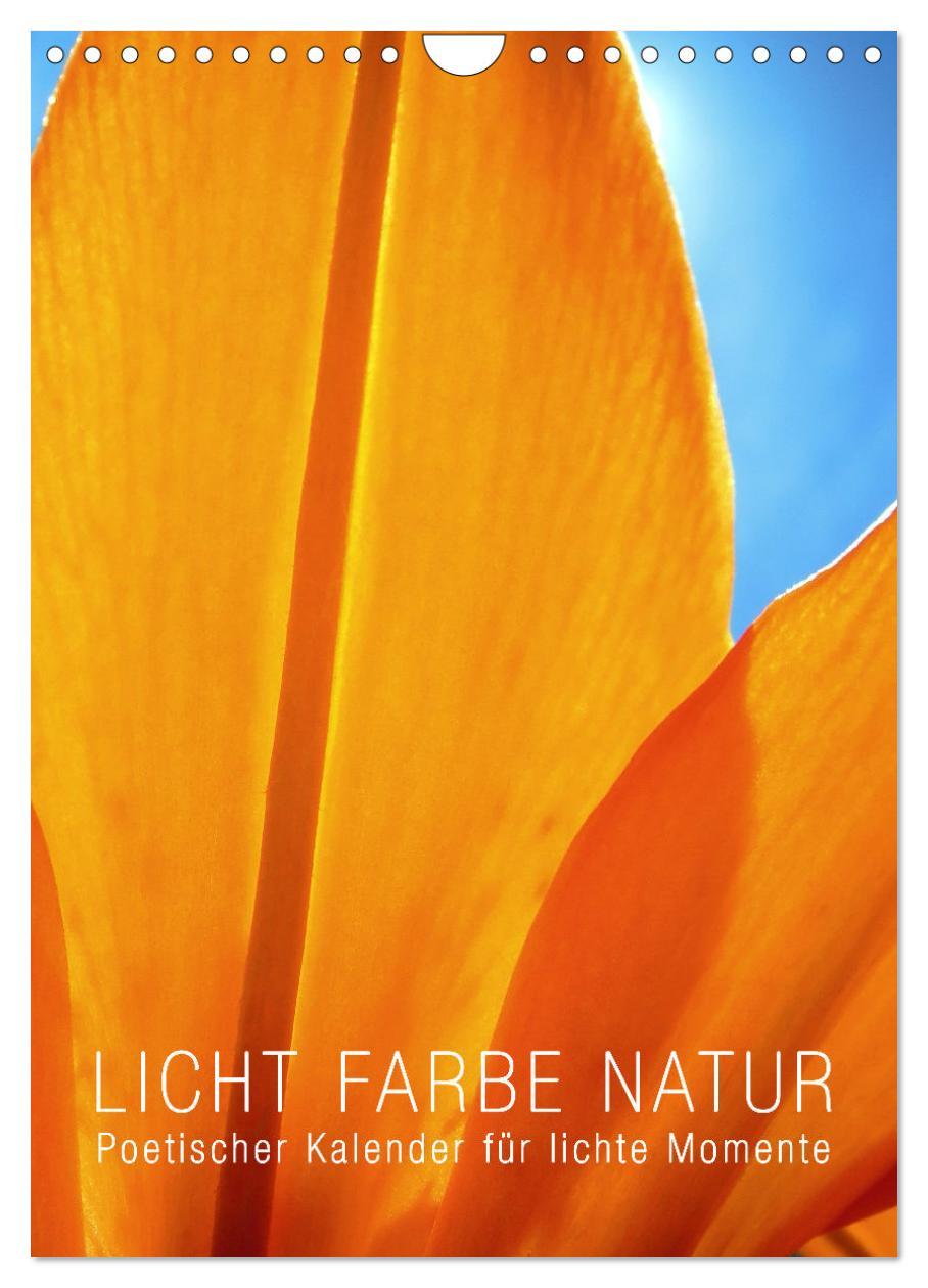 Cover: 9783435912551 | Licht Farbe Natur (Wandkalender 2025 DIN A4 hoch), CALVENDO...