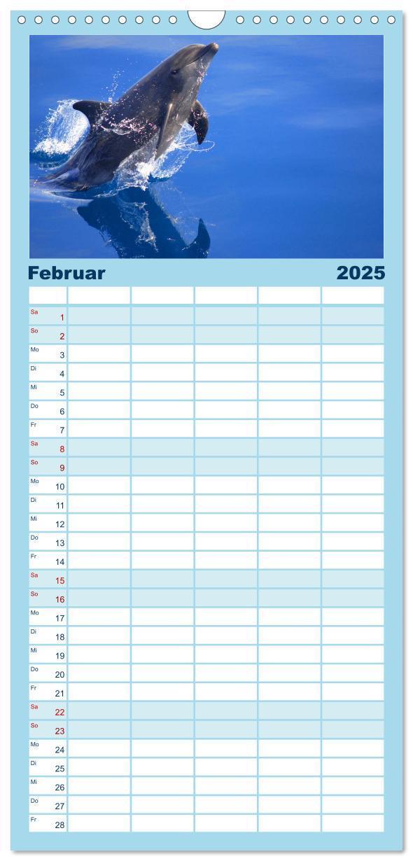 Bild: 9783457112311 | Familienplaner 2025 - Delfine und Wale mit 5 Spalten (Wandkalender,...