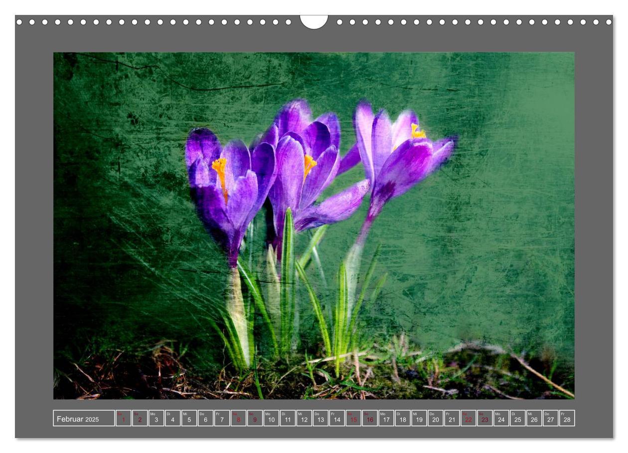 Bild: 9783435835409 | Blumen für dich (Wandkalender 2025 DIN A3 quer), CALVENDO...