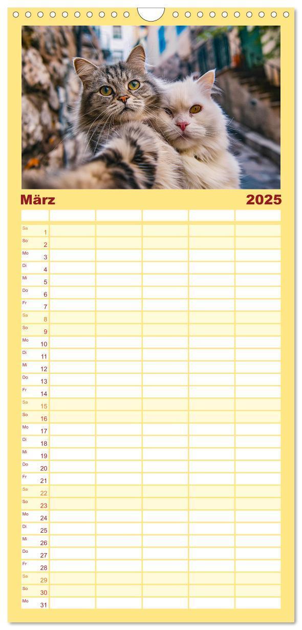 Bild: 9783457191736 | Familienplaner 2025 - Tier Selfies mit 5 Spalten (Wandkalender, 21...