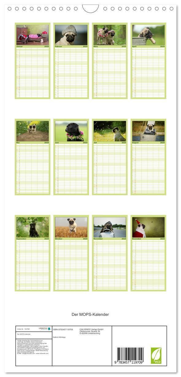 Bild: 9783457119709 | Familienplaner 2025 - Der MOPS-Kalender mit 5 Spalten...