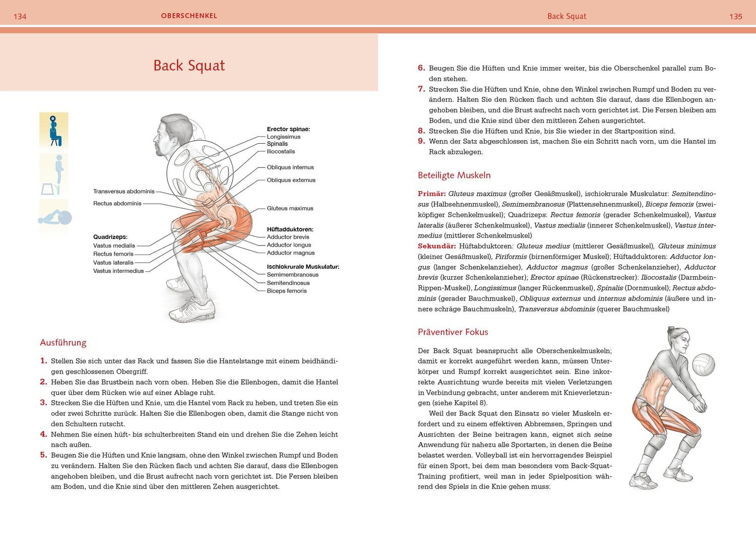 Bild: 9783742324047 | Prävention von Sportverletzungen - Anatomie | David Potach (u. a.)