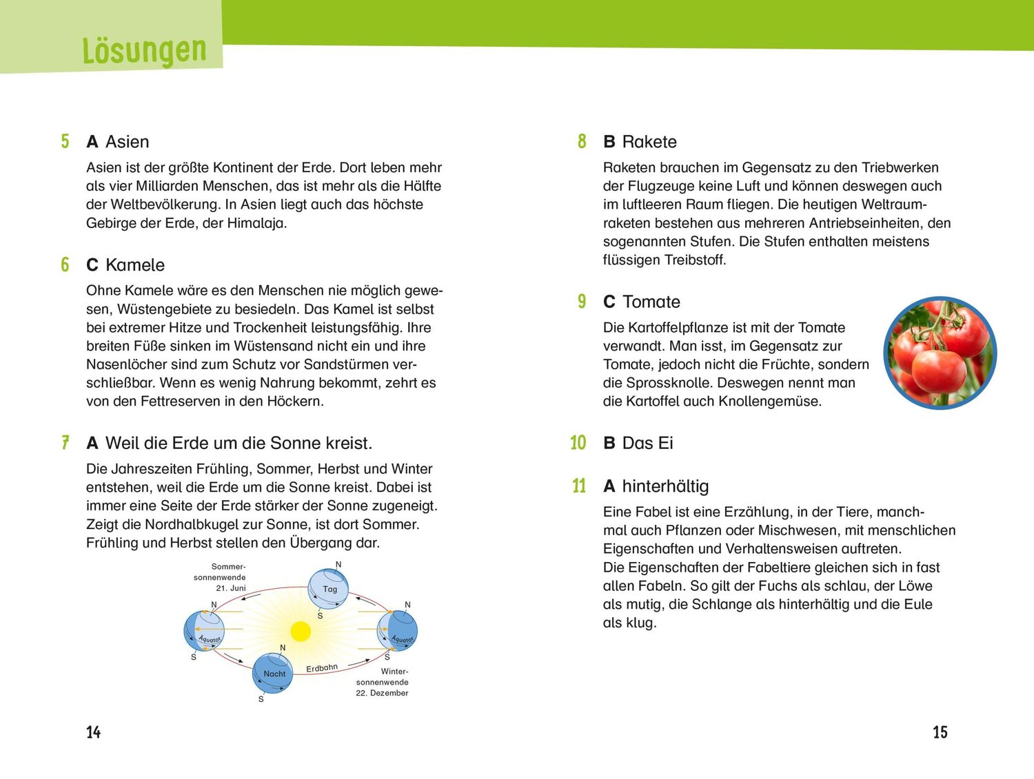 Bild: 9783411720651 | 133 spannende Quizfragen für schlaue Grundschulkinder | Braun | Buch