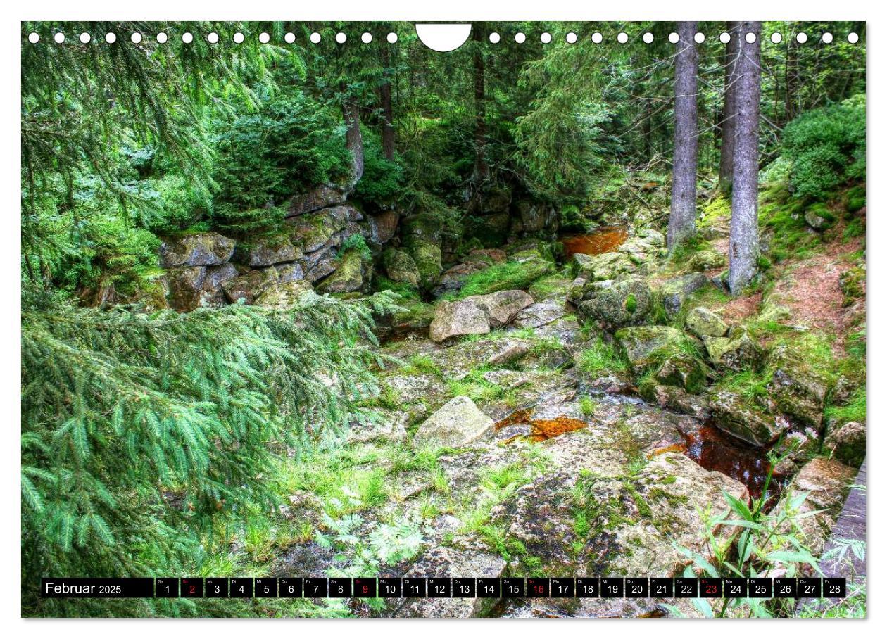 Bild: 9783435582365 | Verzauberter Harz (Wandkalender 2025 DIN A4 quer), CALVENDO...