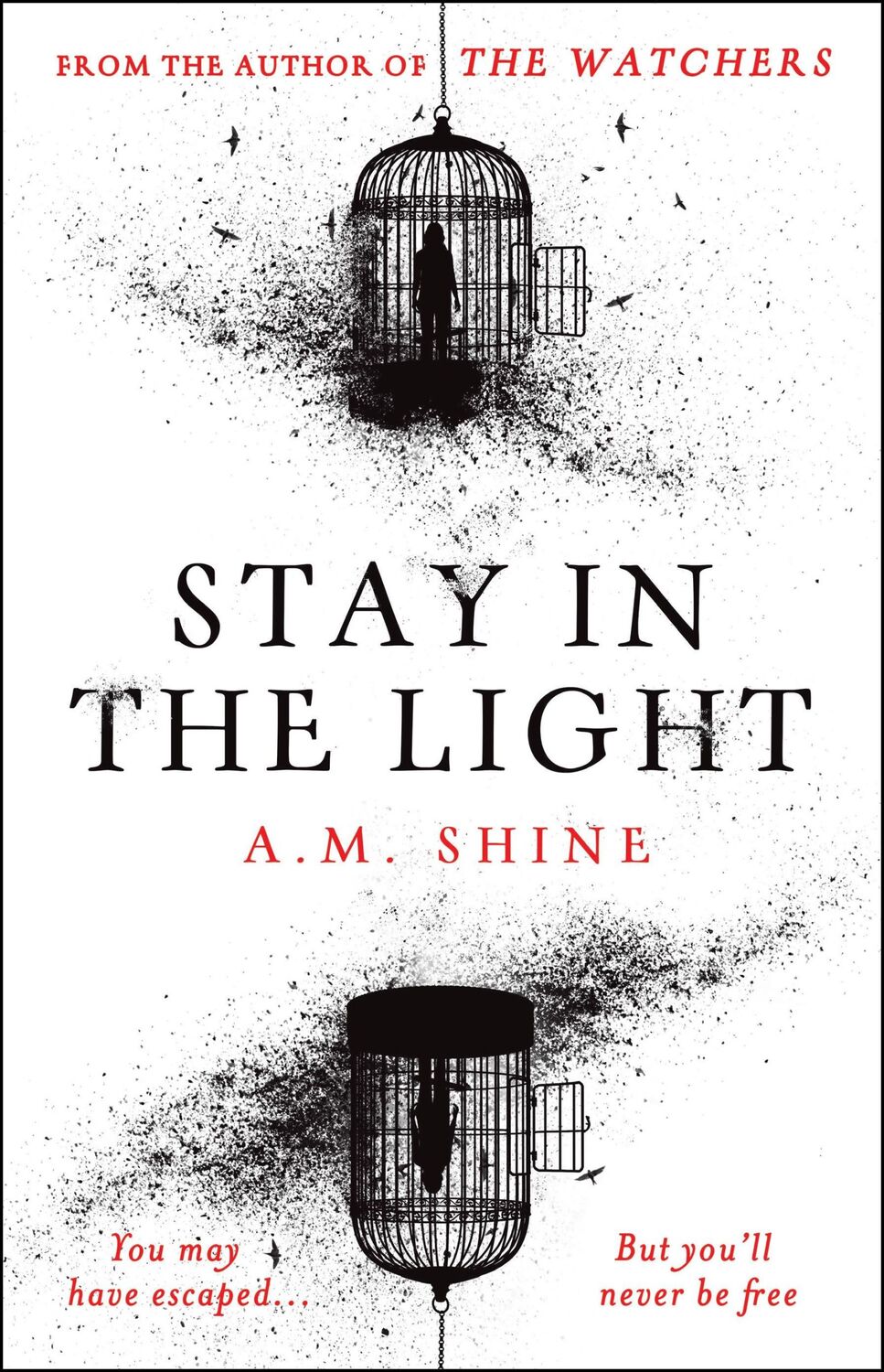 Cover: 9781804547946 | Stay in the Light | A. M. Shine | Taschenbuch | Englisch | 2024